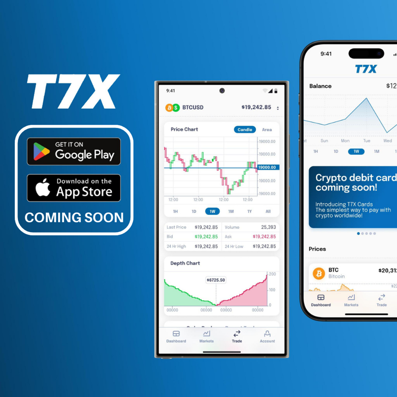 T7X About Section - Real-World Asset Investment